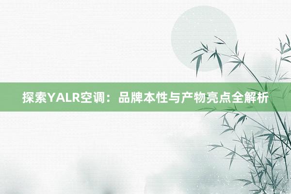 探索YALR空调：品牌本性与产物亮点全解析